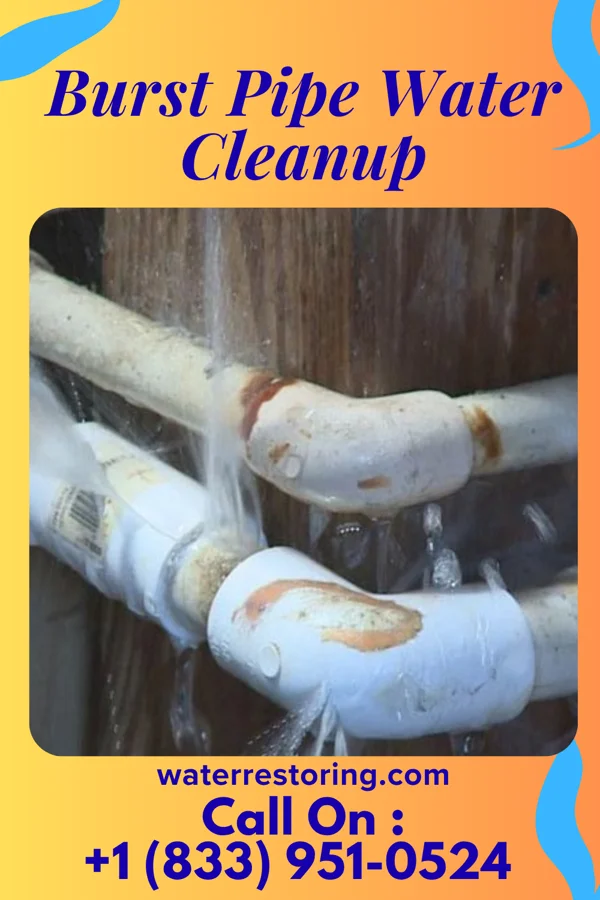 Burst Pipe Water Cleanup in Topton, PA