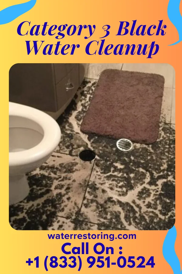 Category 3 Black Water Cleanup in Topton, PA