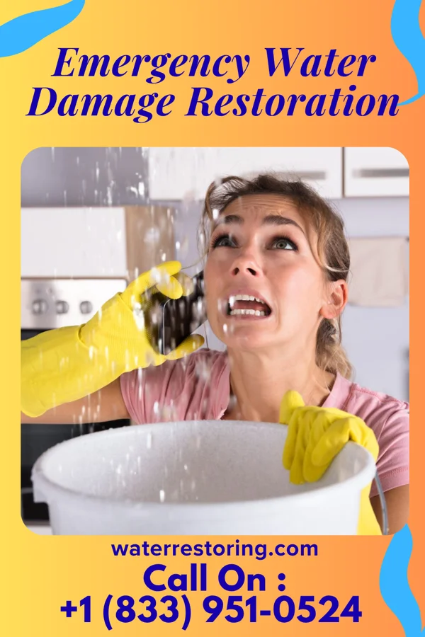Emergency Water Damage Restoration in Topton, PA