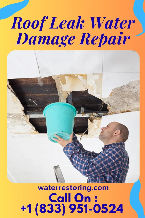 Roof Leak Water Damage Repair in Topton, PA