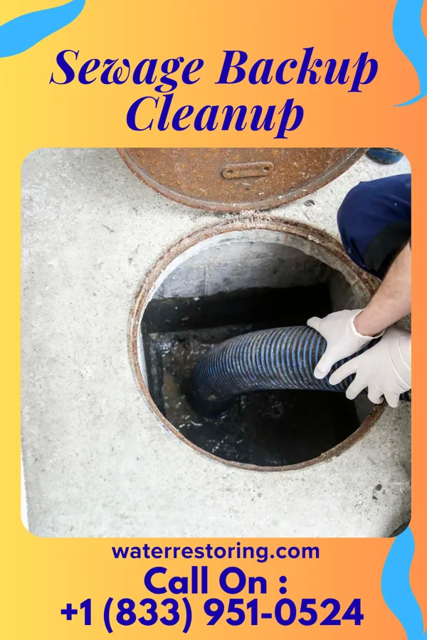 Sewage Backup Cleanup in Topton, PA