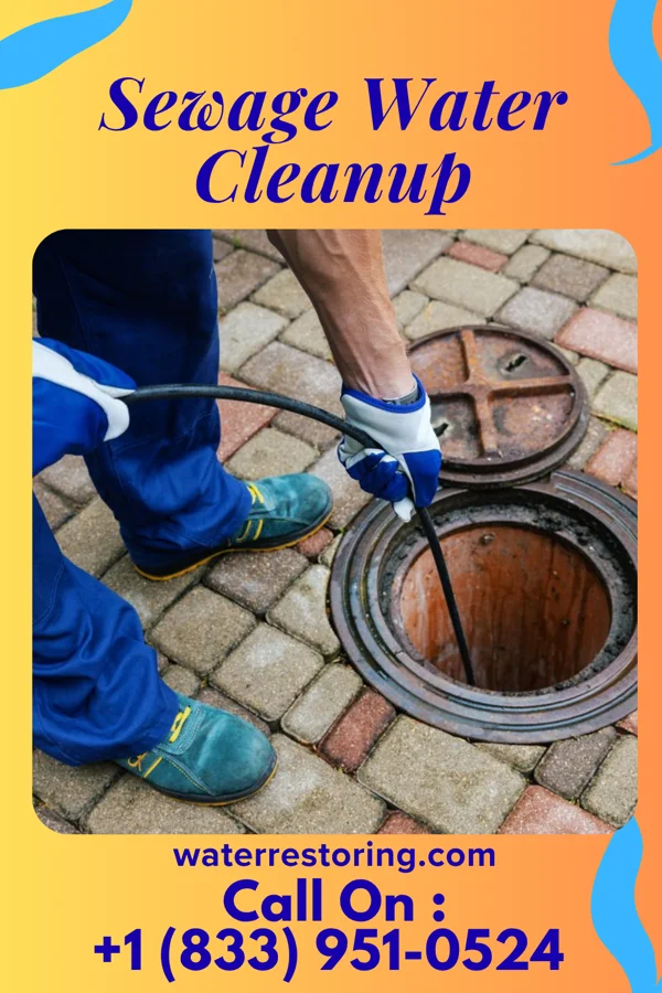 Sewage Water Cleanup in Topton, PA